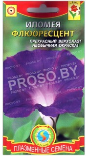 Ипомея Флюоресцент