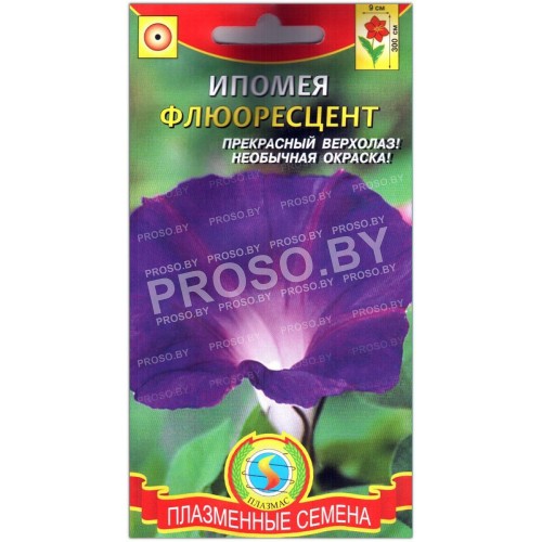 Ипомея Флюоресцент