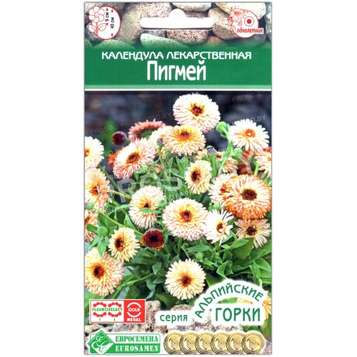 Календула лекарственная Пигмей