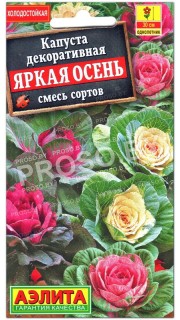 Капуста декоративная Яркая осень, смесь