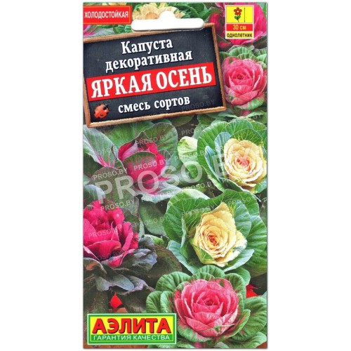 Капуста декоративная Яркая осень, смесь