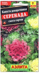 Капуста декоративная Серенада, смесь