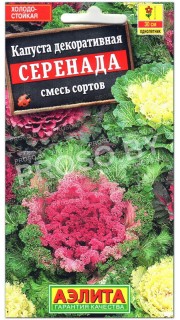 Капуста декоративная Серенада, смесь