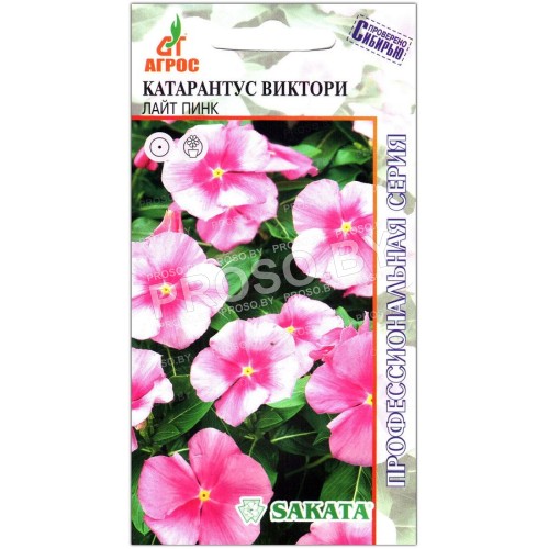 Катарантус Виктори лайт пинк