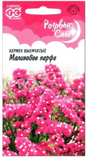 Кермек выемчатый Малиновое парфе