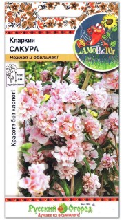 Кларкия Сакура
