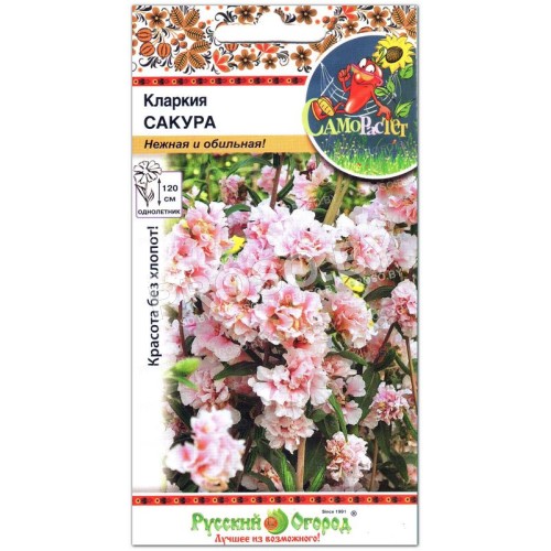 Кларкия Сакура