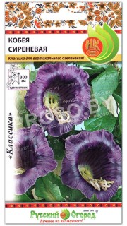 Кобея Сиреневая