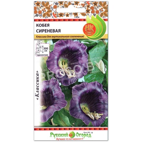 Кобея Сиреневая