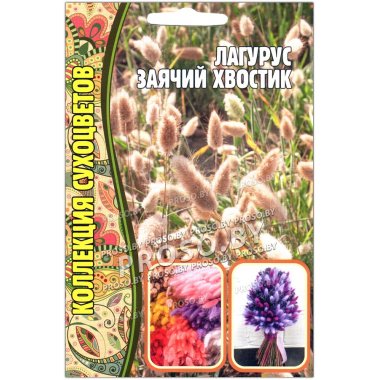 Лагурус Заячий хвостик