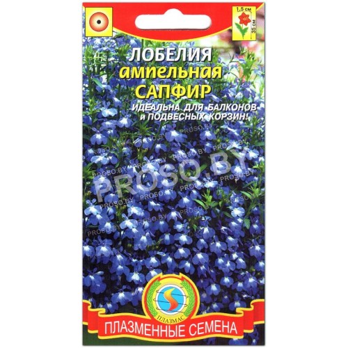 Лобелия ампельная Сапфир-1
