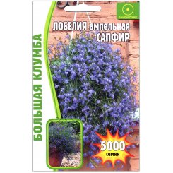 Лобелия ампельная Сапфир