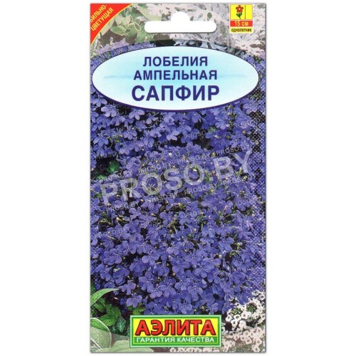 Лобелия ампельная Сапфир
