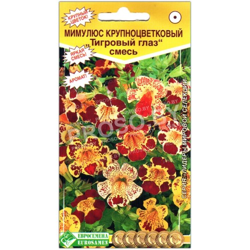 Мимулюс крупноцветковый Тигровый глаз, смесь