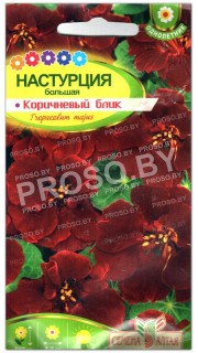 Настурция Коричневый блик