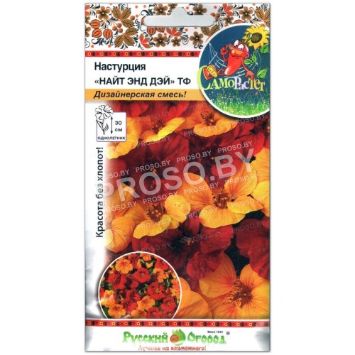 Настурция Найт энд дэй