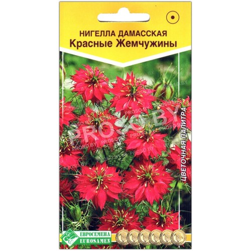 Нигелла дамасская Красные жемчужины