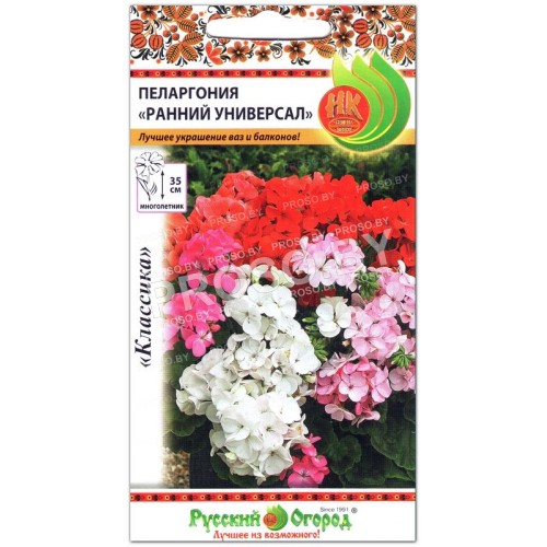 Пеларгония Ранний универсал