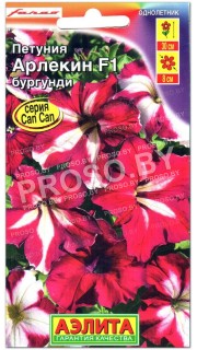 Петуния Арлекин бургунди F1