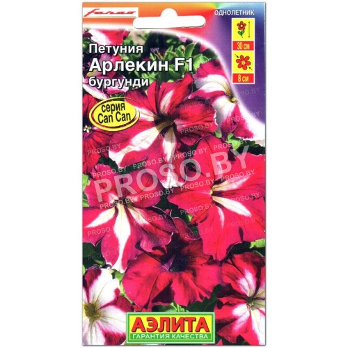 Петуния Арлекин бургунди F1