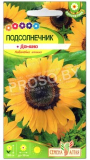 Подсолнечник Домино