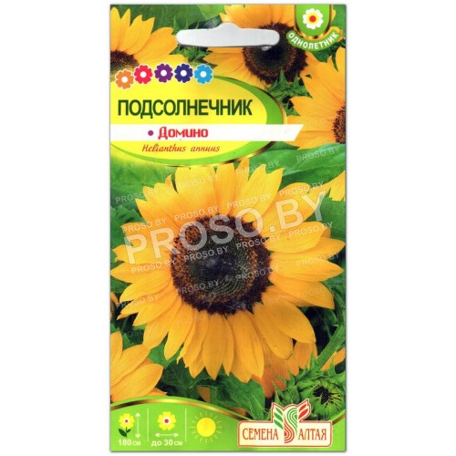 Подсолнечник Домино