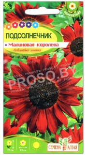 Подсолнечник Малиновая королева