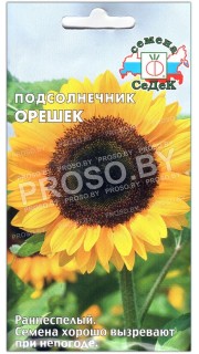 Подсолнечник Орешек