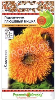 Подсолнечник Плюшевый мишка