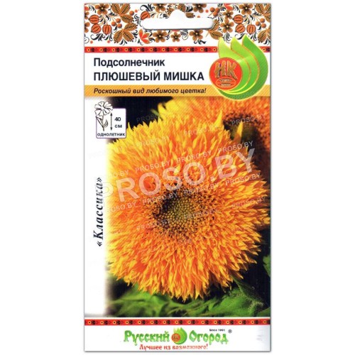 Подсолнечник Плюшевый мишка