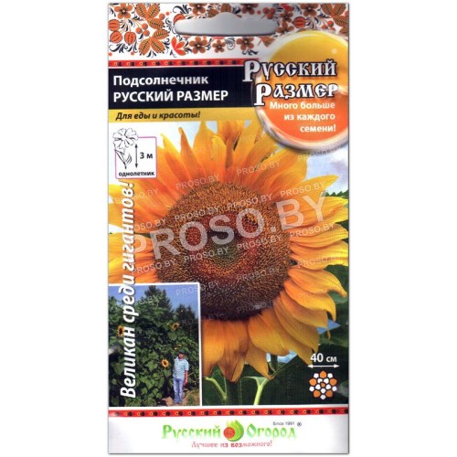 Подсолнечник Русский размер