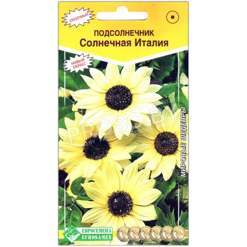 Подсолнечник Солнечная Италия