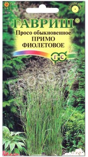 Просо Примо фиолетовое (колоритное 15)