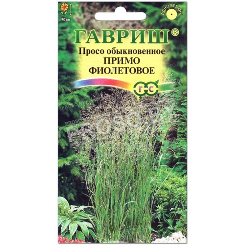 Просо Примо фиолетовое (колоритное 15)