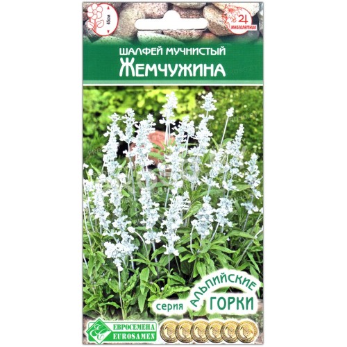 Шалфей мучнистый Жемчужина