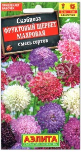 Скабиоза махровая Фруктовый щербет, смесь