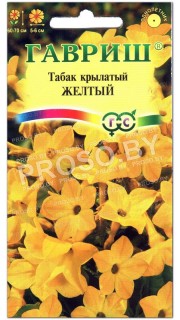 Табак крылатый Желтый