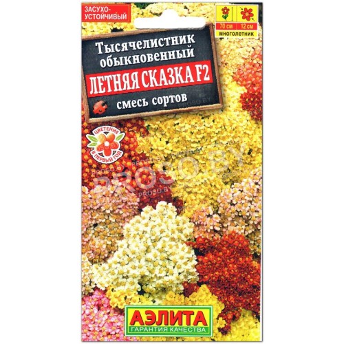 Тысячелистник обыкновенный Летняя сказка F2, смесь