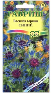 Василек горный Синий