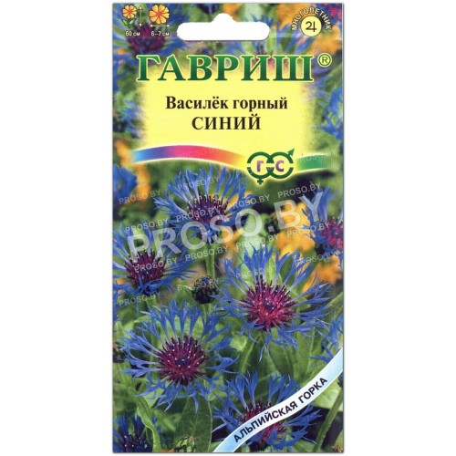 Василек горный Синий