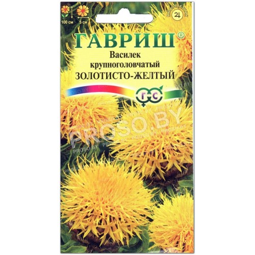 Василек крупноголовчатый Золотисто-желтый