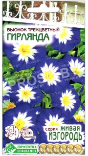 Вьюнок трехцветный Гирлянда