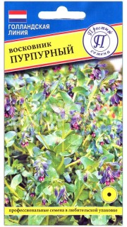 Восковник Пурпурный