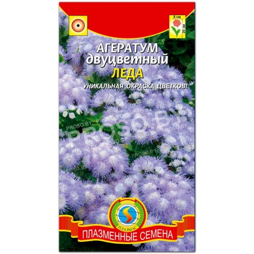 Агератум двуцветный Леда