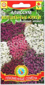 Алиссум Волшебные круги