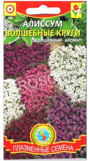 Алиссум Волшебные круги