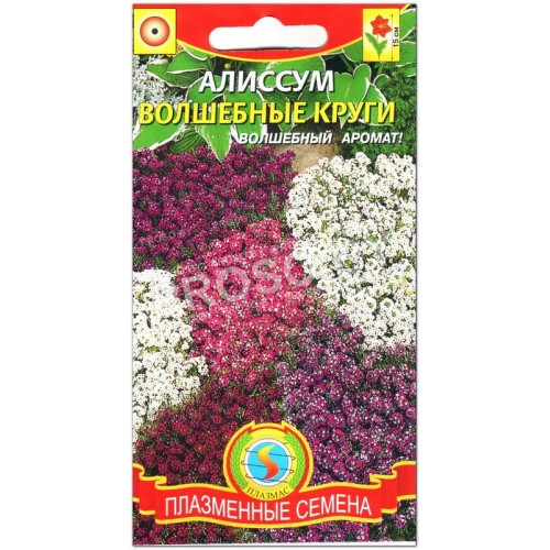 Алиссум Волшебные круги