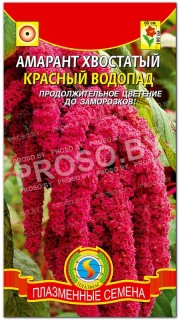Амарант хвостатый Красный водопад