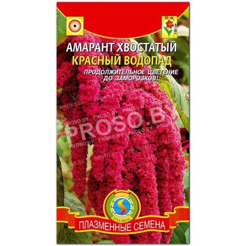 Амарант хвостатый Красный водопад