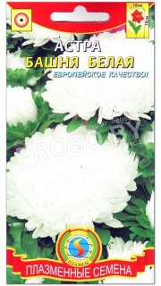 Астра Башня белая